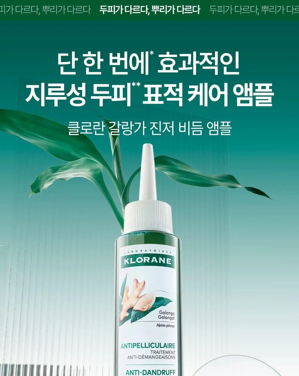 [지루성 두피 & 가려움 케어] 클로란 갈랑가 진저 비듬 앰플 100ml 상세페이지 2